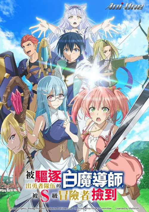 被驱逐开勇者派对的白魔导师，被
