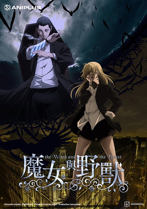 魔女与野兽 魔女と野獣