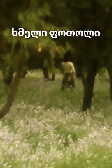 落叶球 ხმელი ფოთოლი