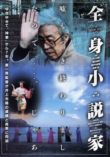 全身小说家 全身小説家