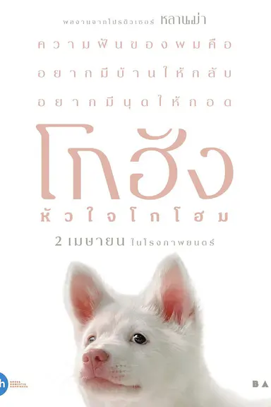 心犬相随 โกฮัง..หัวใจโกโฮม