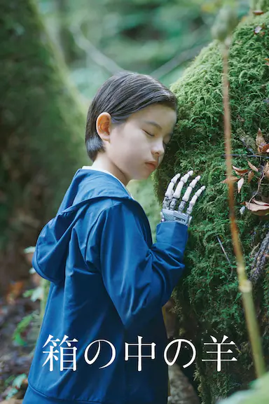盒子里的羊 箱の中の羊