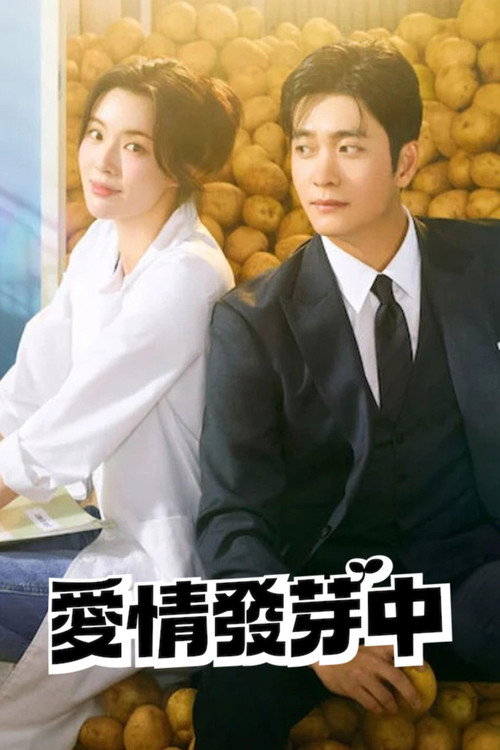 爱情发芽中 감자연구소