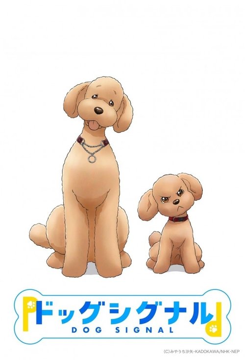 爱犬指令 ドッグシグナル