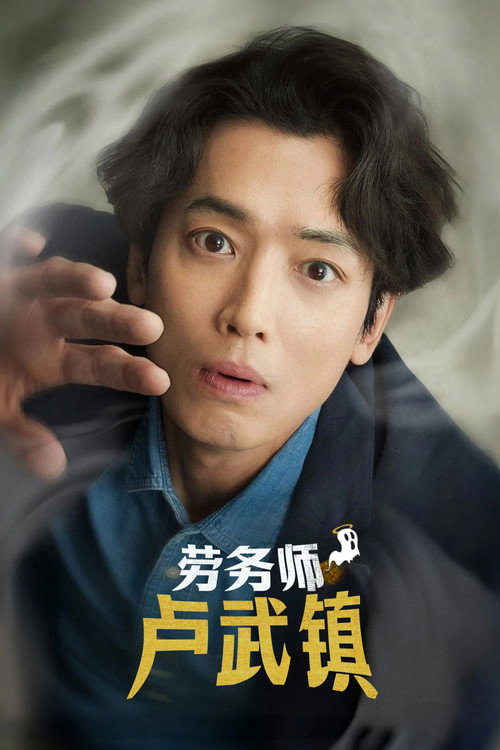 劳务师卢武镇 노무사 노무진